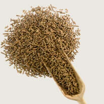 blubble navi derby supplement